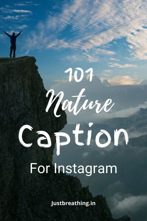 Short Nature Captions for Instagram Pic - Law of Nature is Healing Quotes Instagram Captions For Nature Posts, Forest Quotes Instagram Caption, Caption For Instagram Nature Post, Nature Post Captions, Nature Therapy Captions, Caption For Forest Photos, Forest Instagram Captions, Nature Quotes Instagram Captions, Instagram Captions For Nature Pictures