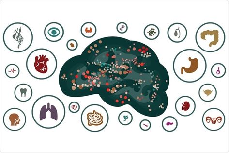 Psychosomatic disorder is a condition in which a physical disease is thought to be caused or made worse by mental stress. Colorful Borders, Disease, Portal, Psychology, Physics, Medical