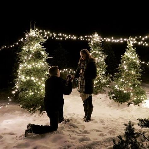 Winter Proposal Ideas Engagement, Tree Farm Proposal, Christmas Engagement Proposal, Graduate Masters, Wedding Proposal Ideas Engagement, Surprise Proposal Pictures, Outdoor Proposal, Cute Proposal Ideas, Winter Proposal