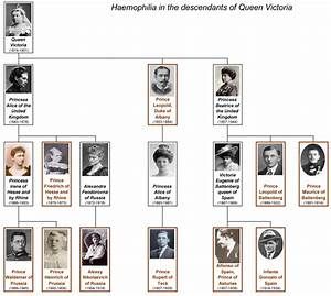 Windsor Family Tree, Queen Victoria Family Tree, Victoria Family Tree, Family Chart, Royal Family Tree, Queen Victoria Family, Royal Family Trees, Victoria Prince, Uk History