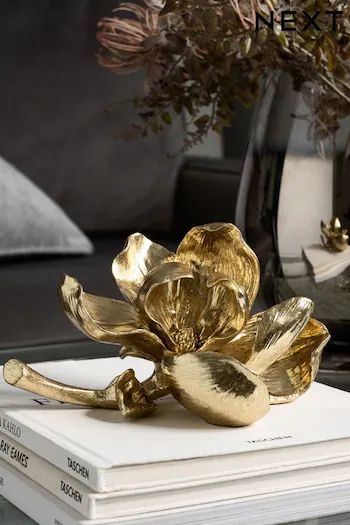 Home Accessories | Decorative Home Accessories | Next UK Dinning Room Wall Art, Modern Flower Vase, Flower Tips, Diy Floral Decor, Golden Art, Flowers Background, Gold Home Decor, Dining Table Centerpiece, Flower Sculptures