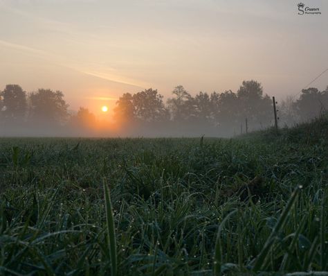 Seasons Changing, Summer Morning, Morning Dew, Production Design, Dew Drops, Stunning Photography, Morning Light, Photo Reference, Changing Seasons