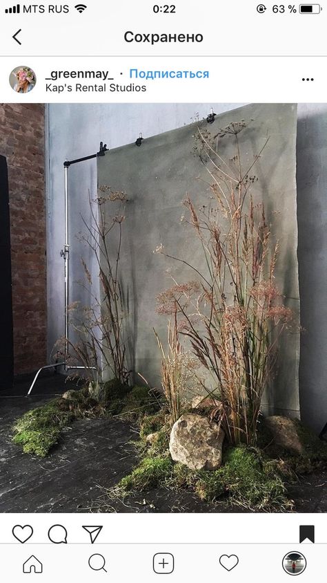 simple minimalist plant studio photography Photo Studio Design, Photoshoot Backdrops, Photo Zone, Tafel Decor, Flower Installation, Floral Installations, Diy Photo Booth, Studio Backdrops, Backdrop Ideas