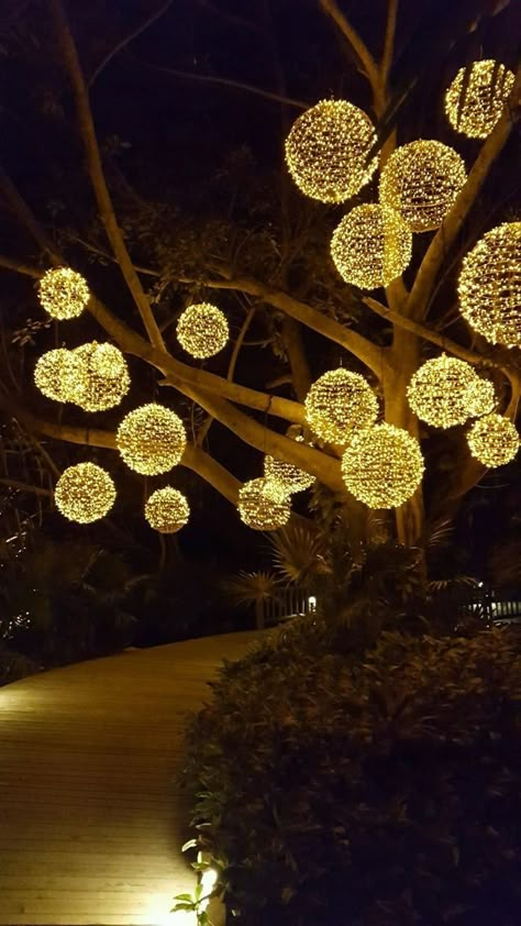 Tree lanterns Exterior Christmas Decorations, Exterior Christmas Lights, Outdoor Tree Lighting, Tree Lanterns, Diwali Lights, Outdoor Trees, Backyard Lighting, Ball Lights, Garden Trees