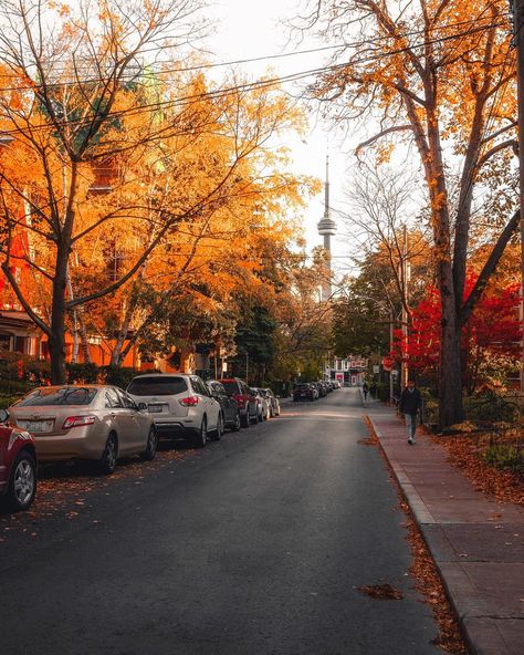 Fall in Toronto Downtown Halifax, Toronto Ontario Canada, Autumn Scenery, Autumn Beauty, Fall Pictures, Toronto Ontario, Autumn Cozy, Autumn Aesthetic, Fall Photos