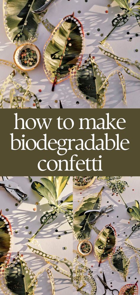 How to Make (No Cost) Biodegradable Confetti Natural Confetti Ideas, How To Make Biodegradable Confetti, Diy Biodegradable Confetti, How To Make Your Own Confetti, Natural Confetti Wedding, Goodwill Wedding Dress, Nature Confetti, Goodwill Wedding, Nature Themed Party