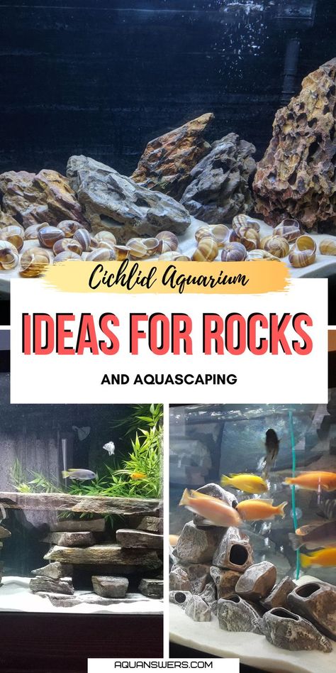 Are you looking for ideas on what rocks to choose and how to aquascape your Cichlid tank? Look no further, in this article you'll find 6 stylish and safe rockscape choices for an aquarium with African or South American Cichlid species. Rock Aquarium Ideas, Aquascape Design Rocks, Cichlid Tank Ideas, Aquascape Diy, Mbuna Cichlids, African Cichlid Tank, Cichlid Tank, Aquascaping Ideas, African Cichlid Aquarium