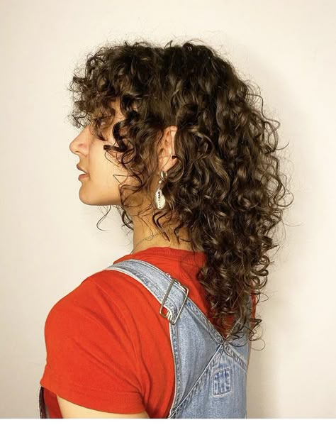 Shag Mullet Curly Hair Long, Shag Haircut Thick Curly Hair, Grown Out Curly Mullet, 90s Hairstyles Curly Hair Short, Short Shaggy Haircuts Curly Hair, Vintage Curly Haircut, Mullet Hairstyle Women Curly, Queer Mullet Long, Long Shaggy Mullet Wavy Hair