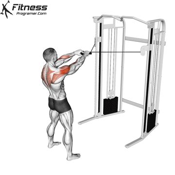 Cross Cable Back Workout, Cable Exercises For Back, Shoulder Cable Exercises, Shoulder Cable Workout, Trapezius Exercise, Face Pull Exercise, Back Cable Workout, Rotator Cuff Muscles, Upper Body Workout Gym