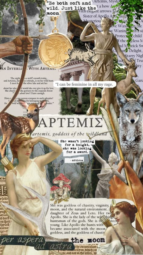 Be both soft and wild #artemis #greekmythology #greece #greek #selene #moon #moonlight #moonaesthetic #huntress #nature #cottagecore Artemis Aesthetic, Goddess Artemis, Artemis Goddess, Goddess Of The Hunt, Greek Mythology Gods, Nature Cottagecore, Greek Gods And Goddesses, Greek And Roman Mythology, Greek Mythology Art