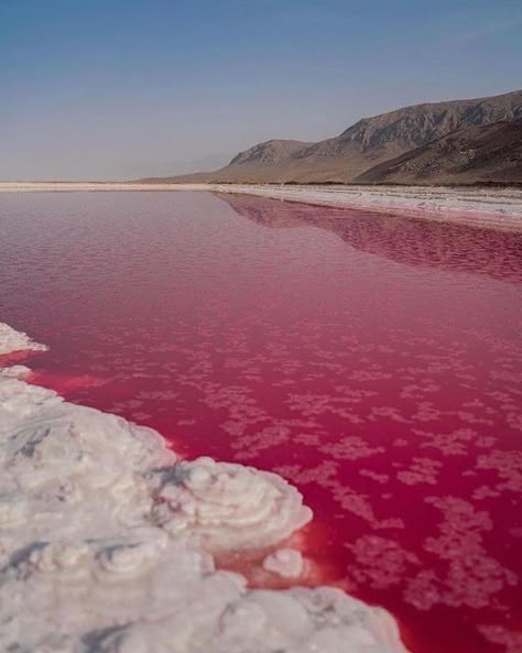 Red Tide, Shiraz Iran, Aesthetic Era, Red Lake, Shiraz, Red Aesthetic, Video Photography, May 27, Pastel Aesthetic