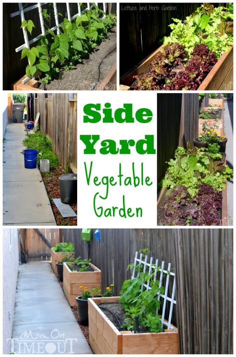 Side Yard Vegetable Garden and DIY Planter Boxes at MomOnTimeout.com #ad Side Yard Vegetable Garden, Diy Planter Boxes, Yard Vegetable Garden, Side Yard Ideas, Raised Vegetable Gardens, Vertical Vegetable Garden, Vegetable Plants, Side Yards, Vegetable Garden Ideas