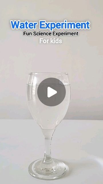 Quick Science Experiments For Kids, Sink Or Float Experiment, Life Science Experiments, Simple Science Experiments For Kids, Water Experiments For Kids, Density Experiment, Science Tricks, Amazing Science Experiments, Science Experiment For Kids