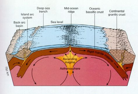 Seafloor Spreading | blueteamscience Seafloor Spreading, Earth Science Middle School, Earth Science Projects, Earth Science Activities, Earth Science Lessons, Earth Projects, Tectonic Plates, Lab Activities, Teaching Geography