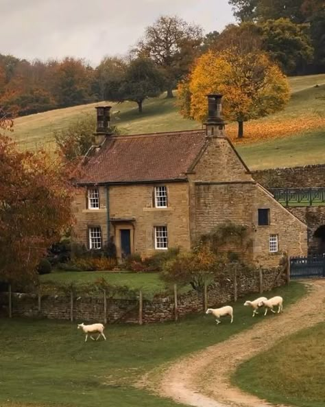 England Countryside, Castle Combe, Countryside Cottage, Country Aesthetic, Cottage Aesthetic, Living In England, Cottage Farm, Famous Actors, Countryside House