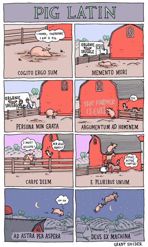 Pig Latin. INCIDENTAL COMICS: "I read that John Steinbeck often signed his books with a drawing of the Pigasus, a mythical flying pig. He also included the Latin motto "Ad astra per alas porci": "To the stars on the wings of a pig."   Latin is no clearer but I love the Latin motto.  http://www.incidentalcomics.com/2012/08/pig-latin.html Incidental Comics, Grant Snider, Pig Latin, Teaching Latin, Ad Hominem, Latin Language, Cogito Ergo Sum, Latin Phrases, John Steinbeck