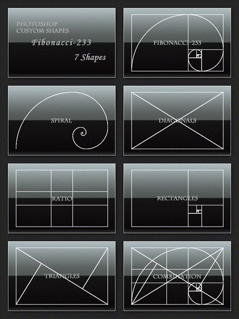 Golden Section Architecture, Fibonacci Series, Golden Section, Graphisches Design, Fibonacci Sequence, Fibonacci Spiral, Photography Cheat Sheets, The Golden Ratio, Fotografi Digital