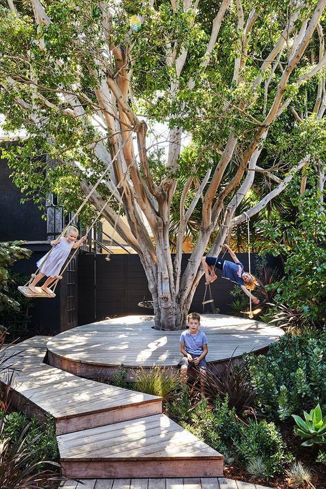 Venice House, California Backyard, Ficus Tree, Natural Playground, Family Outdoor, Futurism, Australian Design, Backyard Landscaping Designs, House Designs