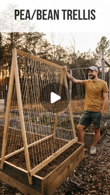 Green Bean Trellis Ideas Easy Diy, Bean Trellis Ideas, Bean Trellis Diy, Zone 7 Gardening, Snap Pea Trellis, Pole Bean Trellis, Green Bean Trellis, Babe Rainbow, Bean Trellis