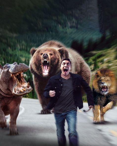 Top 10 Most Vicious Animal Attacks and How to Survive Them | How could your pet be as dangerous as a wild animal? | By What If Most Dangerous Animals, 10 Animals, Bear Attack, Animal Attack, Dangerous Animals, Backdrop Photo, Funny Tattoos, As Humans, Curvy Model