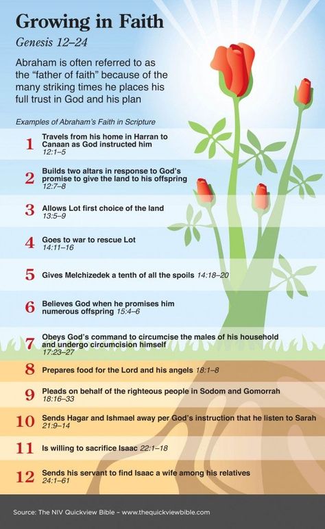 Growing in Faith:  Genesis 12 - 24 Bible Infographics, Biblical Themes, Quick View Bible, Illustrated Bible, Growing In Faith, Online Bible Study, Bible Study Help, Bible Study Tips, Soli Deo Gloria