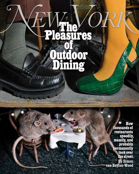 How the dining shed changed the city. -- New York Media Press Room New York Shopping, New York October, Plywood Floor, Mazzy Star, Dorm Posters, Magazine Fashion, New York Magazine, Best Horrors, Nyc Restaurants