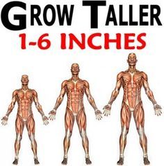 Height Growth Tips, Male Fertility Diet, How To Be Taller, How To Become Tall, Stretches To Grow Taller, Tips To Increase Height, Get Taller Exercises, How To Get Tall, Grow Taller Exercises