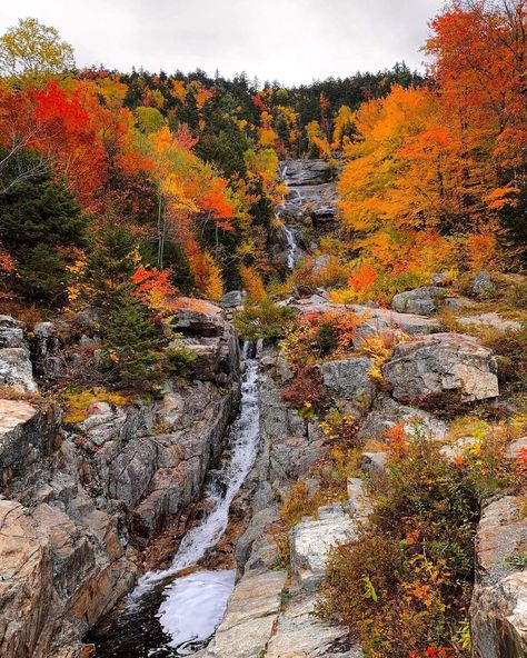 White Mountain National Forest In New Hampshire, USA Autumn Mountains, White Mountain National Forest, Cascade Falls, Adventure Photographer, White Mountains, Take A Hike, Autumn Colors, Nature Landscape, Travel Photographer