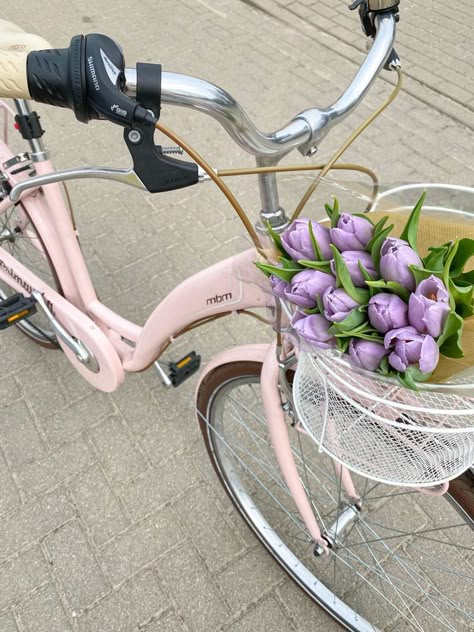 Pink Bicycle Aesthetic, Pink Bike Aesthetic, Tulips Pastel, Pink Moped, Soft Pastel Aesthetic, Bicycle Aesthetic, Receive Flowers, Aesthetic Bike, Cute Bike