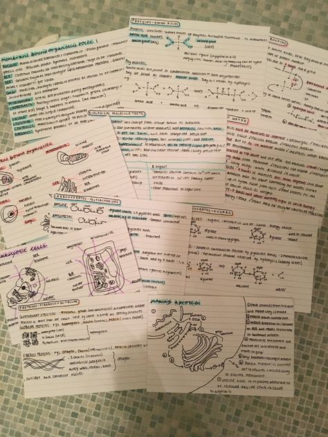 A level revision for biology cells topic and biological molecules topic #study #revision #school #biology A Level Biology Flashcards, A Level Biology Aesthetic, A Levels Aesthetic, Revision Cards Ideas, A Level Aesthetic, Biology Study Aesthetic, Index Cards Ideas Study, A Level Study, Biology Flashcards