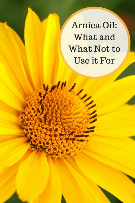 Arnica Oil: What and What Not to Use it For - Kami McBride Arnica Salve, Arnica Gel, Arnica Oil, Coconut Oil For Acne, Herbal Tinctures, Herbal Healing, Herbal Oil, Diy Body, Lotion Bars