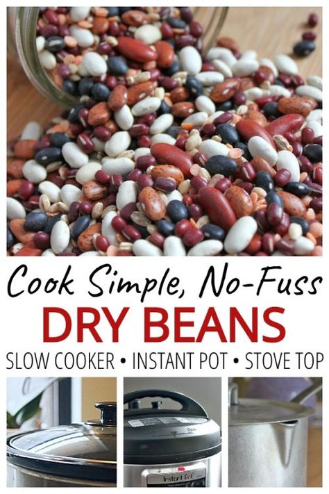 Learn to Cook Dry Beans: 3 Ways • Cheapskate Cook Quick Soak Beans, Cook Dry Beans, Bean Patties, Budget Meal Ideas, Dry Beans Recipe, Beans From Scratch, Cook Beans, Curry Vegetarian, Recipes Beans