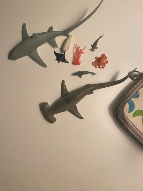 Crafts Cardboard, Grunge Room Ideas, Shark Room, Ocean Room Decor, Cardboard Animals, Shark Decor, Paper Mache Crafts, Cardboard Art, Diy Crafts To Do