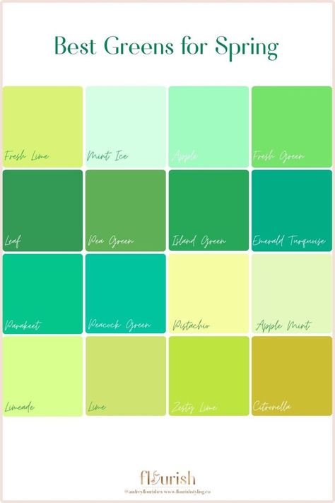 Are you a Spring and stumped on what greens are in your color palette? Fret no more - we have created this handy chart just for you. Check out our latest blog post for more information on greens for each season! #coloranalysis #shesaspring #personalstyle #greenfashion Best Greens, Warm Spring Palette, Warm Spring Color Palette, True Spring Color Palette, Light Spring Palette, Warm Spring Outfits, Light Spring Color Palette, True Spring Colors, Light Spring Colors