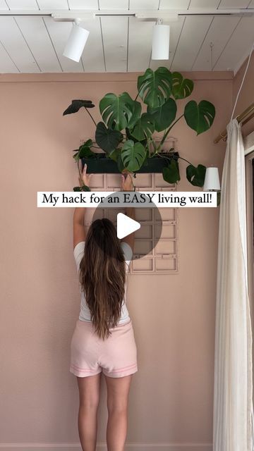 Chantel Gray | 🪴 Plants + DIY on Instagram: "THIS living wall is INSANELY easy and low cost considering the price of typical living wall kits. *linked in my bio under “plant room favs” or comment “living wall link” and I can DM it to you!  I’d recommend using plants with the same watering requirements. Any pothos, philodendron, monstera, scindapsus, would be perfect together!   The exact plants that I used are: Monstera Deliciousa Albo Monstera Standlyana Scindapsus Exotica Golden Pothos Pink Princess Philodendron Silver Sword Philodendron Philodendron Summer Glory Philodendron McDowell  Alocasia Regal Shields Maranta Beauty Kim   I used two 4” plants per planter!  When I water, I start with the top planter and the water trickles down through each perfectly.   I hope you’ll give it a try Easy Plant Wall Indoor, House Filled With Plants, Plant Feature Wall Indoor, Plants On Wall Indoor, Living Plant Wall Indoors, Diy Living Wall Indoor, Pothos Wall Climbing, Plant Wall Bedroom, Plant Wall Living Room