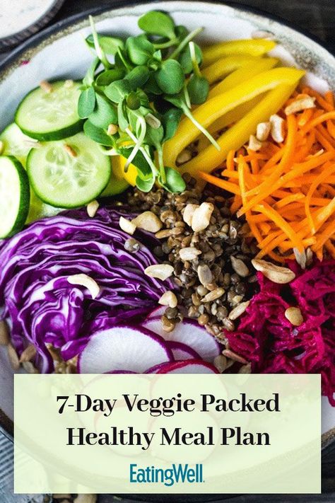 Vegetable Packed Meals, Vegetable Forward Meals, Protein Boxes, Healthy Pasta Recipes Vegetarian, Week Of Dinners, Fruit And Vegetable Diet, Salad Recipes Healthy Dinner, Vegetable Lunch, Healthy Dinner Salads