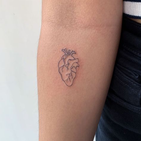 Heart tattoo. #tattoo#heart Line Work Heart Tattoo, Organ Tattoo Ideas, Biological Heart Tattoo, Heart On Sleeve Tattoo Ideas, Half A Heart Tattoo, Heart Stamp Tattoo, Organ Heart Tattoo, Tattoo Ideas Female Heart, Heart Fine Line Tattoo