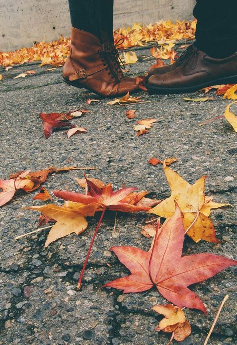 Fall leaves always bring romance.   #fall #leaves #fallleaves #romance Fall Photography, Autumn Love, Lovers Quotes, Lovely Smile, Best Seasons, Shooting Photo, Fall Pictures, Fall Engagement, Autumn Aesthetic