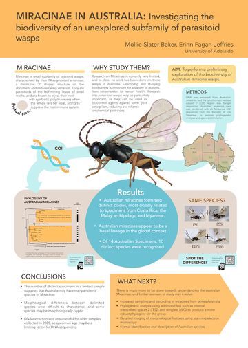 Research Poster Design Layout Ideas, Research Poster Design, Scientific Poster Design, Academic Poster, Scientific Poster, Conference Poster, Research Poster, Poster Design Layout, Graphic Design Infographic