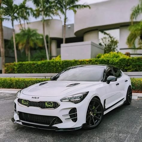 Kia Stinger Gt 2023, White Kia Stinger, Kia Stinger Gt Modified, Kia Stinger White, Kia Stinger Modified, Kia Gt K5, Kia K5 Modified, Kia K5 Gt Line, Stinger Kia