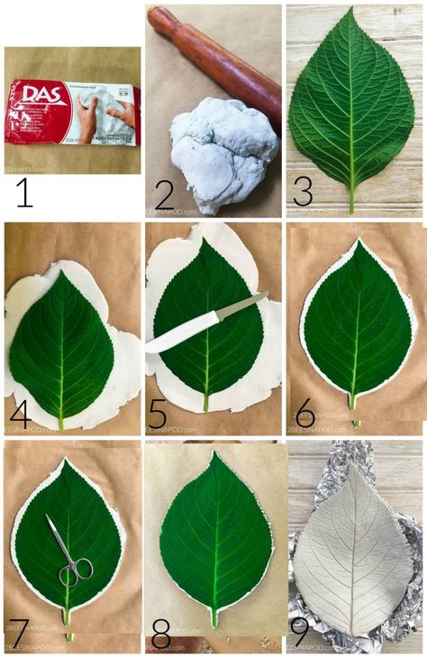 Tutorial for clay leaf bowls Oppgaver For Barn, Itsekovettuva Savi, Clay Leaf, Săpunuri Handmade, Clay Crafts For Kids, Dragonfly Dreams, Air Dry Clay Projects, Tanah Liat, Clay Crafts Air Dry