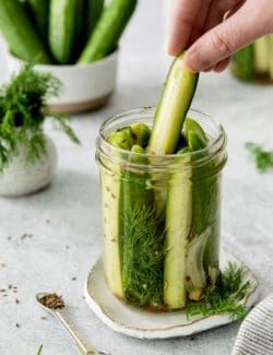 Refrigerator Dill Pickles, Refrigerator Pickles Dill, Refrigerator Pickle Recipes, Homemade Pickles Dill, Pickled Green Beans, Dill Pickle Recipe, Spicy Pickles, Refreshing Snacks, Pickled Carrots