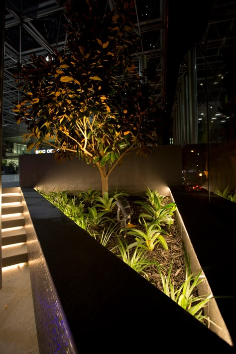 Emerald Spike Spotlight: Easy to Move, for Planter Boxes to Trees - Unios Exterior Lighting Design, Park Lighting, Outdoor Lighting Design, Landscape Lighting Design, Architectural Lighting Design, Modern Backyard Landscaping, Facade Lighting, Urban Lighting, Backyard Lighting