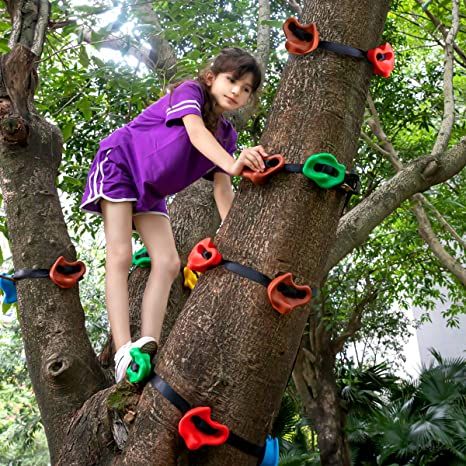 AmazonSmile: 12 Ninja Tree Climbing Holds for Kids Climber, Adult Climbing Rocks with 6 Ratchet Straps for Outdoor Ninja Warrior Obstacle Course Training: Kitchen & Dining Obstacle Course Training, Kids Climber, Kids Tree, Backyard Playset, Wall Climbing, Kids Climbing, Climbing Holds, Tree Climbing, Rock Climbing Wall