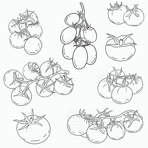 Drawings Of Tomatoes, Fine Line Tomato Tattoo, Tiny Tomato Tattoo, Tomato Plant Tattoo Simple, Tomato Vine Drawing, Cherry Tomato Drawing, Heirloom Tomato Tattoo, Vegetable Line Drawing, Tomato Line Drawing