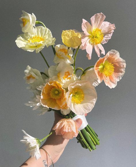 A little poppy/sunlight action from @flwrandwater that we couldn't resist 🏵️☀️ Happy Friday! #thefloristquarter #flwrandwater #newcastleflorist #newcastleflowers #australianflorists #freelanceflorists #australianfloristdirectory #forflowerlovers #flowercommunity #floristcommunity #communityovercompetition Pink Poppy Bouquet, Wedding Bouquet Poppies, Flower Bouquet Reference, Cornflower Wedding Bouquet, Poppy Wedding Flowers, Wedding Poppies, Poppy Bridal Bouquet, Poppy Wedding Bouquet, Primrose Bouquet