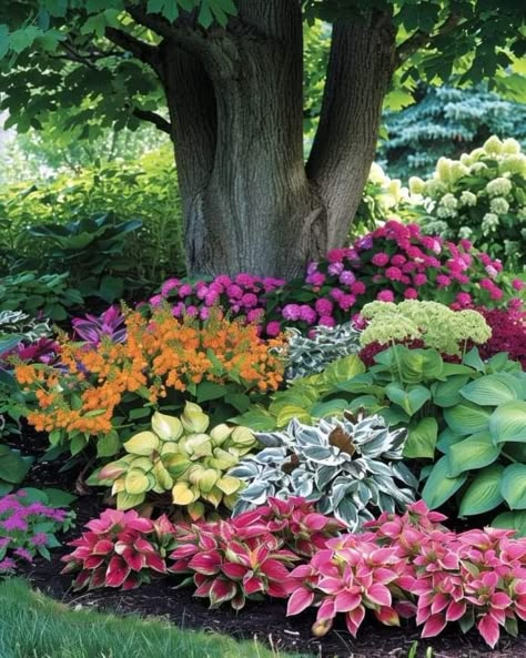 Backyard Island Landscaping, Island Landscaping Ideas Front Yards, Small Secret Garden Ideas, Under Tree Landscaping, Tree Flower Bed, Outdoor Apartment, Mailbox Landscaping, Landscaping Around Trees, Landscape Gardening