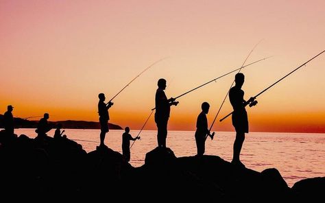 Fishing Sunset, Photos Of Fish, Fishing Rods And Reels, Singles Events, Fishing Techniques, River Fishing, Fishing Videos, Catching Fish, Fishing Life