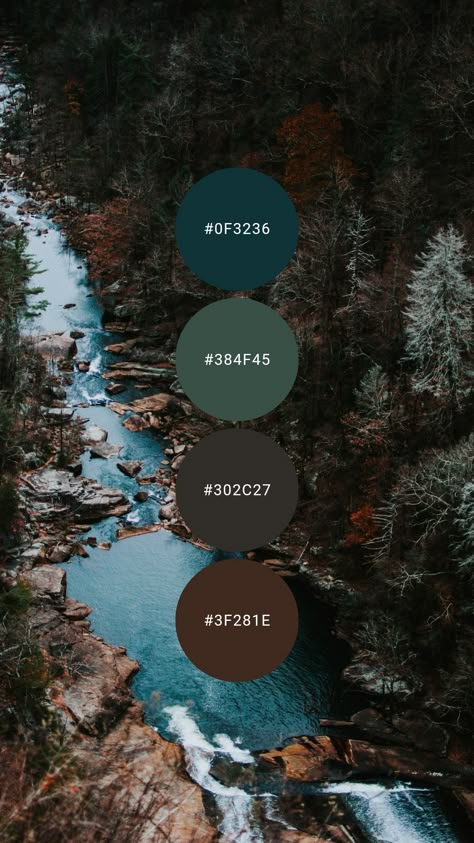 Color Palette Forest, Teal Color Palette, Teal And Brown, House Color Palettes, Forest Color, Brown Color Palette, Color Schemes Colour Palettes, Palette Ideas, Nature Color Palette