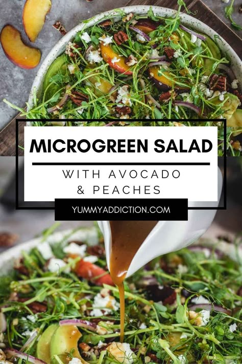 This seasonal microgreen salad is a great way to highlight summer produce while enjoying healthy greens that can grow year around. With fresh peaches, nuts, salty cheese and an easy homemade dressing, you’ll fall in love with microgreens as your new salad go to. #salad #microgreen #healthy #avocado Salad With Microgreens, Microgreens Salad Recipe, Microgreen Salad, Salad With Peaches, Mediterranean Salads, Microgreens Recipe, Sprouts Recipes, Healthy Greens, Fall Meals